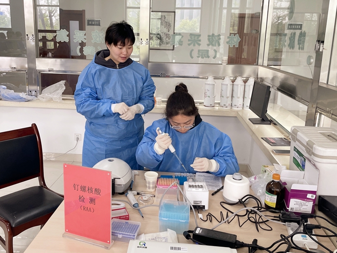 扬州市钉螺集中解剖工作在邮顺利开展图片3.jpg